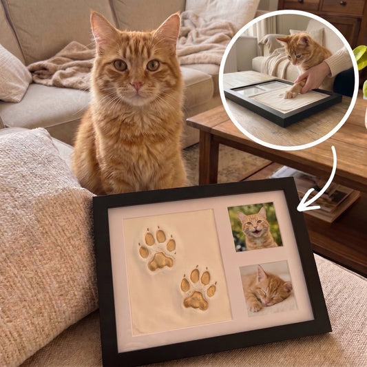 Kit Empreinte de Patte pour Chat – Argile + Cadre Inclus
