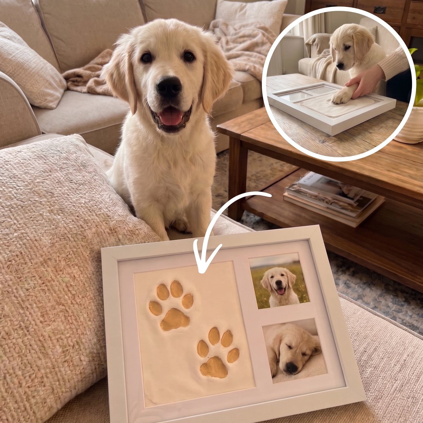 Kit Empreinte de Patte pour Chien – Argile + Cadre Inclus